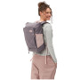 Batoh Aevor Day Pack FLX