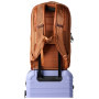 Batoh Cotopaxi Allpa 26L Daypack