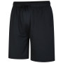 Pánske kraťasy Dare 2b Sprinted Short