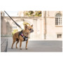 Vôdzka pre psa Curli Stretch Comfort Leash