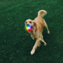 Hračka pre psa Nite Ize Glowstreak Rechargeable Led Ball