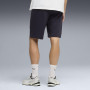 Pánske kraťasy Puma Ess 2 Color Logo Shorts