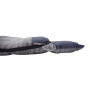 Spacák Vango Borealis Single Heathered