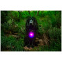 Svetlo pre psa Mountain Paws Dog safety light 2-Pack