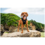 Postroj pre psa Mountain Paws Dog Harness