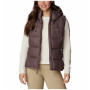 Dámska vesta Columbia Pike Lake II Insulated Vest