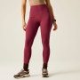Dámske legíny Dare 2b Power Legging
