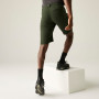 Pánske kraťasy Regatta Highton Shorts Long II