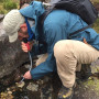 Vodný filter MSR TrailShot Microfilter