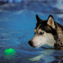 Hračka pre psa Nite Ize GlowStreak Wild LED Ball