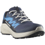 Pánske bežecké topánky Salomon Alphaglide Gore-Tex