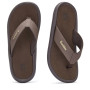 Žabky Gumbies Noosa Brown