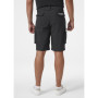 Pánske kraťasy Helly Hansen Move Qd Shorts