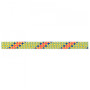 Lezecké lano Beal Booster III 9,7 mm (60 m)