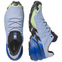 Pánske bežecké topánky Salomon Speedcross 6 GTX Icon