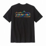 Pánske tričko Patagonia M's Unity Fitz Responsibili-Tee