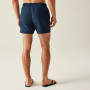 Pánske plavky Regatta Mawson Swim Shorts III