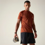 Pánske tričko Dare 2b Accelerate Tee