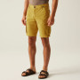 Pánske kraťasy Regatta Shorebay Shorts II