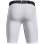 Pánske funkčné spodky Under Armour HG Armour Lng Shorts