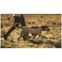 Oblečenie pre psa Ruffwear Timberline Fuse™ Fleece Vest