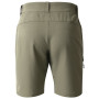 Pánske kraťasy Dare 2b Torrek II Short