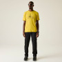 Pánske tričko Dare 2b Movement III Tee