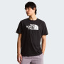 Pánske tričko The North Face Evolution Half Dome Regular Short Slee