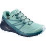 Dámské topánky Salomon Sense Ride 2 Gtx Invis Fit W