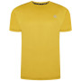 Pánske tričko Dare 2b Discernible Tee