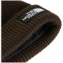 Čiapka The North Face Salty Lined Beanie