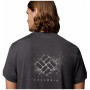 Pánske tričko Columbia Parsons Point™ SS Back Graphic Tee
