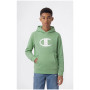 Detská mikina Champion Hooded Sweatshirt B