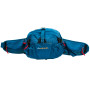 Ľadvinka Pinguin Hip bag