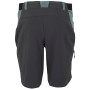 Pánske kraťasy Regatta Eldes Shorts