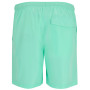 Pánske kraťasy Regatta Mackleyna Swim Short