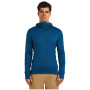 Pánska funkčná mikina Icebreaker M Mer 260 Quantum IV LS Zip Hoodie