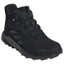 Pánske turistické topánky Adidas Terrex Anylander Leather Mid Climaproof