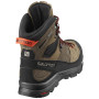 Pánske topánky Salomon X Alp High Ltr Gtx®