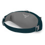 Ľadvinka Osprey Daylite Waist