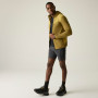 Pánska bunda Regatta Finchdale Midlayer