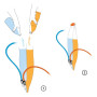 Hydrovak Source Widepac divide 2L