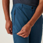 Pánske nohavice Regatta Highton Trousers I
