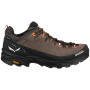 Pánske turistické topánky Salewa Alp Trainer 2 Gtx M