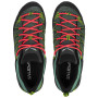 Dámske topánky Salewa Ws Mtn Trainer Lite Gtx