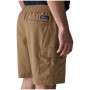 Pánske kraťasy Patagonia Men's Nomader Shorts