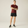 Pánske tričko Dare 2b Power Up Tee