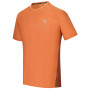 Pánske tričko Dare 2b Power Up Tee