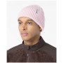 Čiapka Salomon Snowbird Beanie U