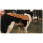 Oblečenie pre psa Ruffwear Overcoat Fuse™ Insulated Vest
